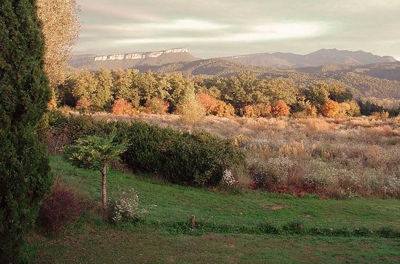 gestion airbnb de pisos turisticos en fornells de la selva