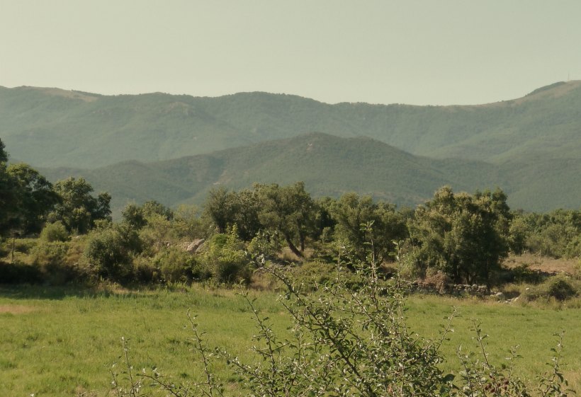 gestion de alquiler vacacional la jonquera